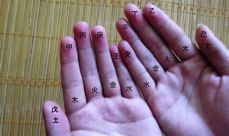 五行每日指南 手指有直紋